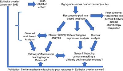 CAF-Associated Paracrine Signaling Worsens Outcome and Potentially Contributes to Chemoresistance in Epithelial Ovarian Cancer